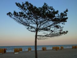 Strand in Dahme